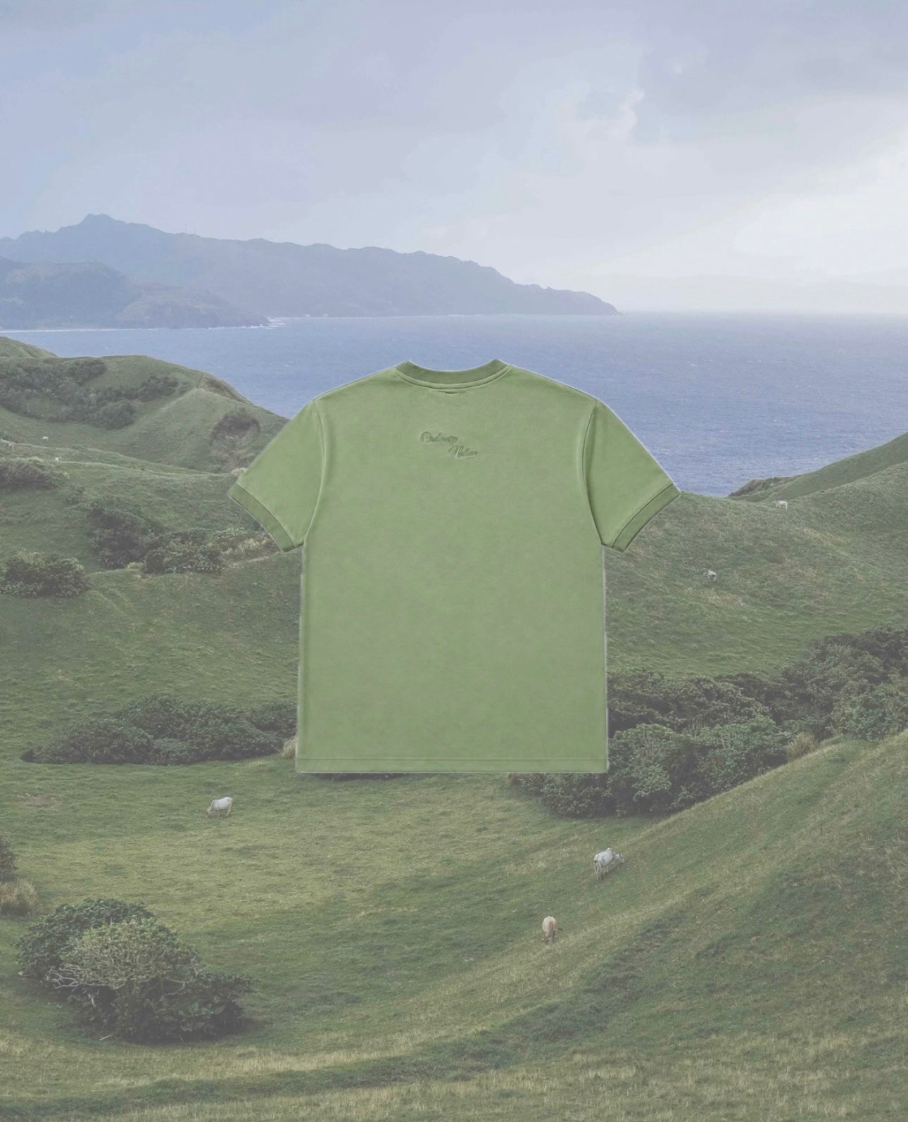 Evergreen-green ringer tee.